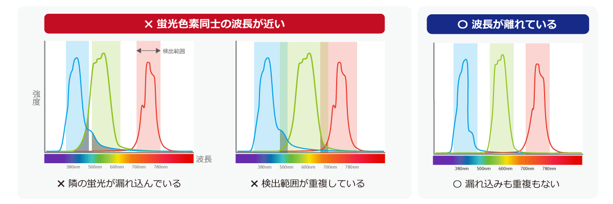 蛍光色素同士の波長の漏れ込みや重複の図解